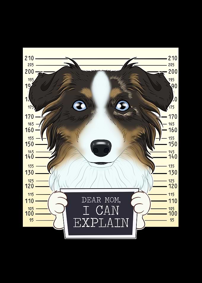 Australian Shepherd Mom