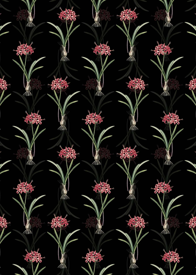 Guernsey Lily Pattern