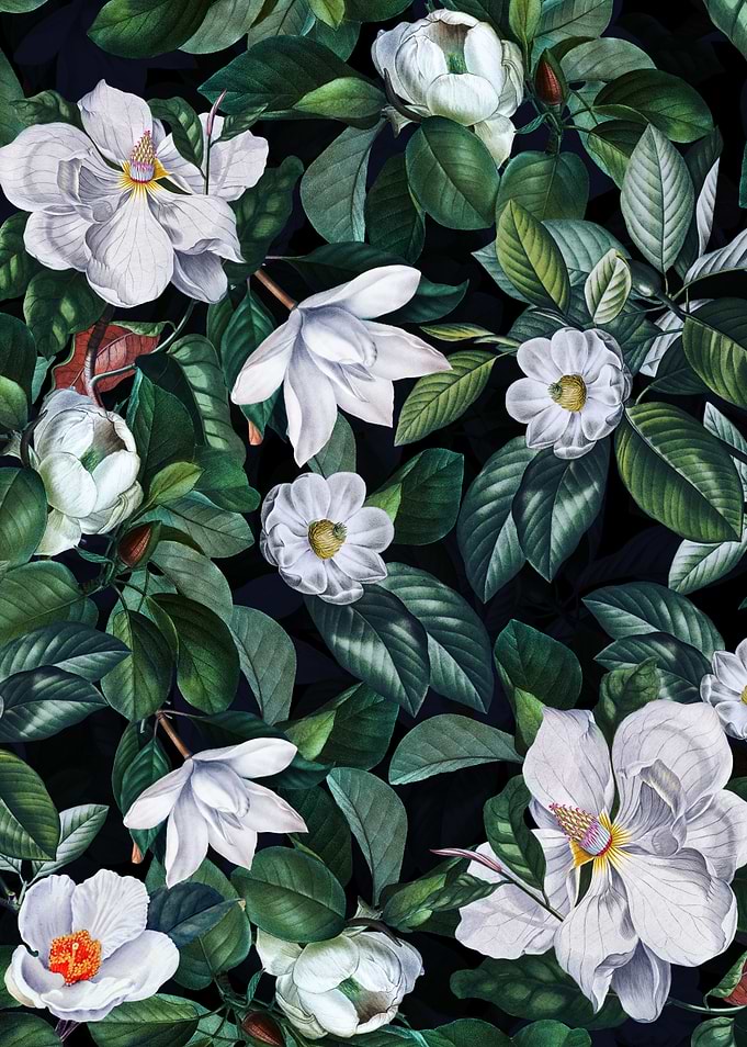 Night Magnolia Garden