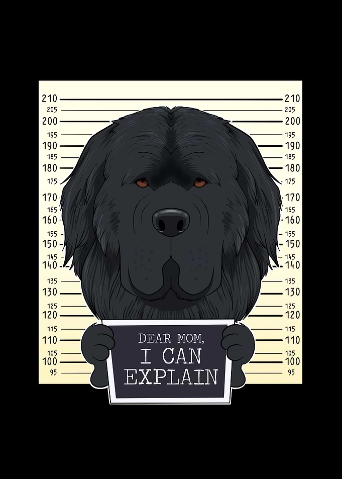 Newfoundland Dog Mom