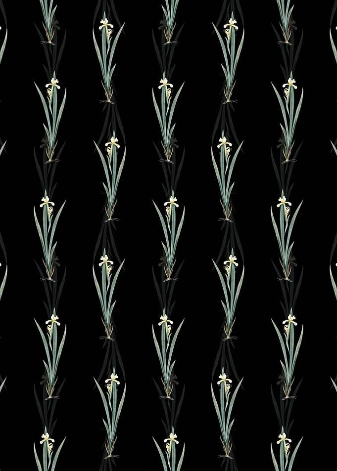Yellow Banded Iris Pattern