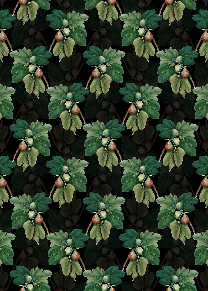 Floral Common Fig Pattern