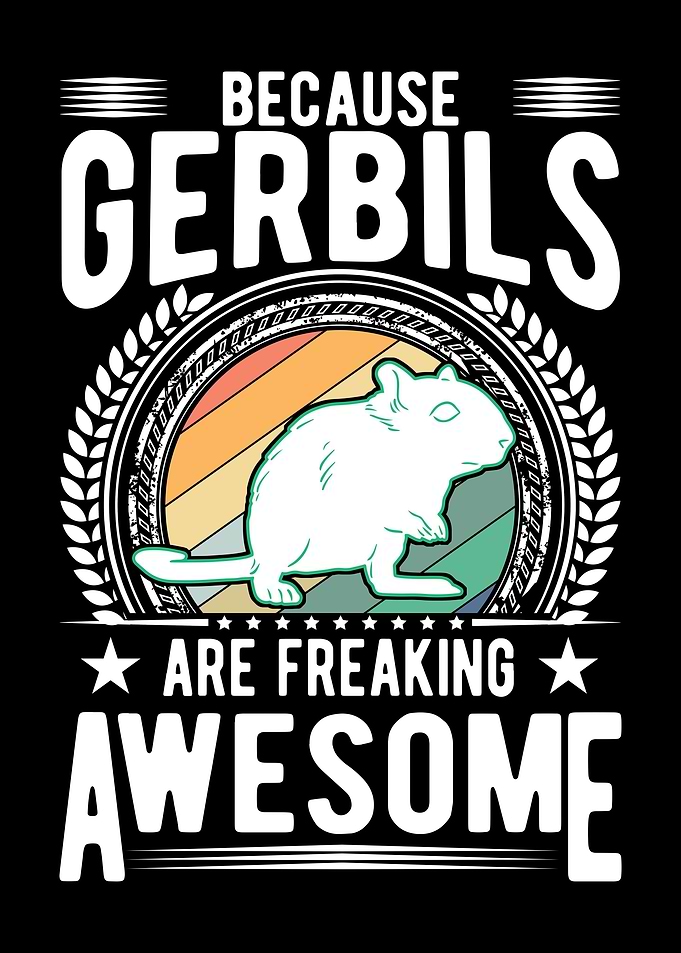 Gerbil Racing Rat