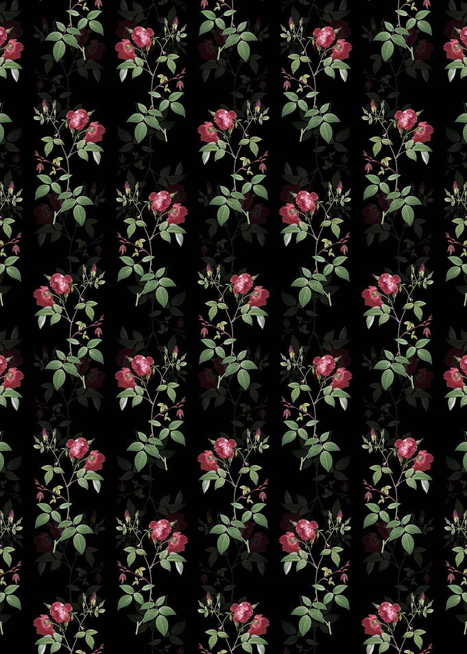 Velvet China Rose Pattern