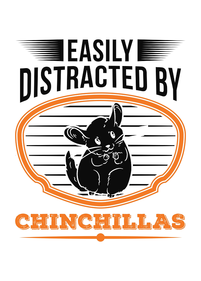 Chinchilla Lover