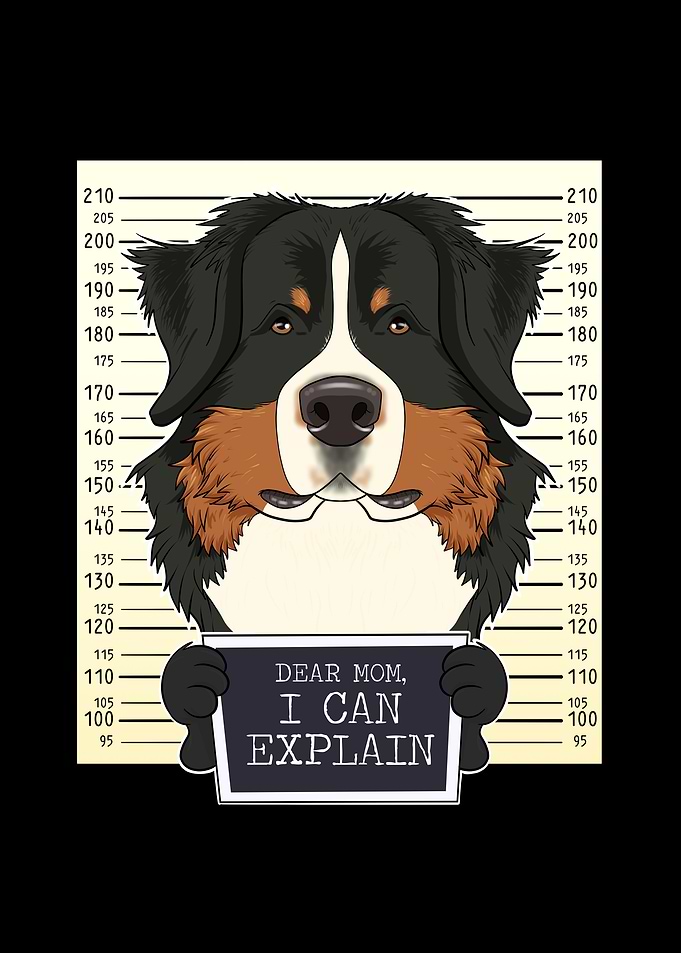 Bernese Mountain Dog Mom
