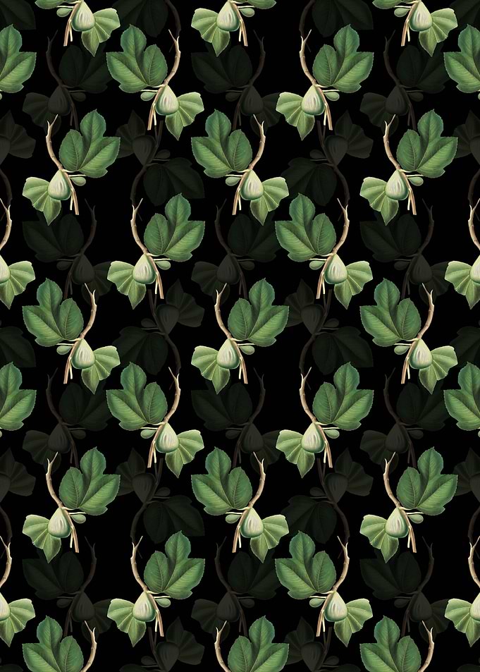 Vintage Floral Fig Pattern