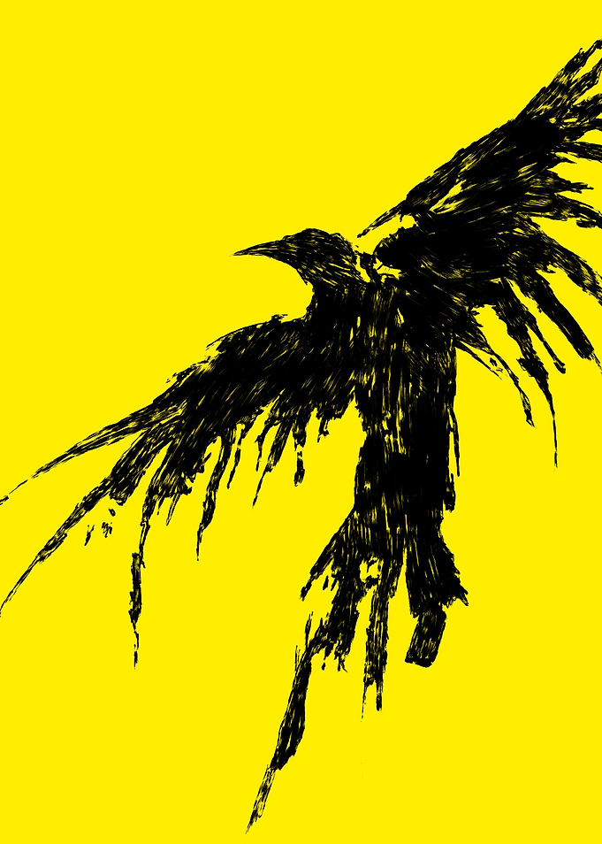 Black Raven Feathers