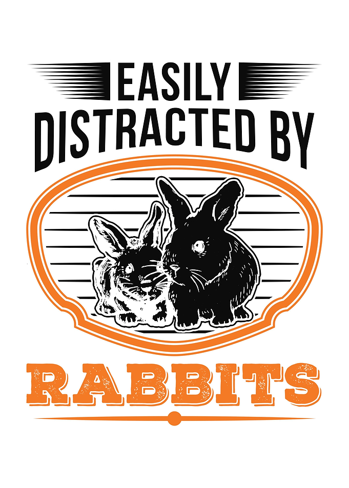 Rabbit Hare Bunny
