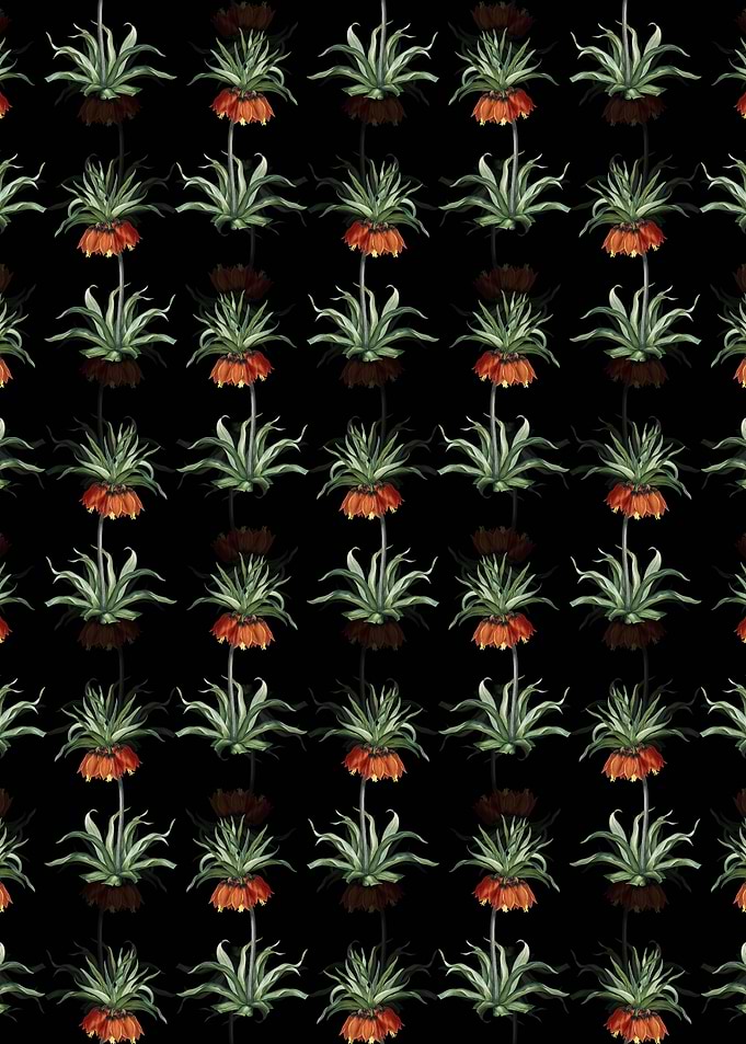 Black Fritillaries Pattern