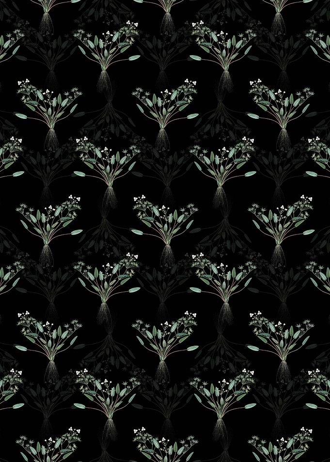Floral Starfruit Pattern