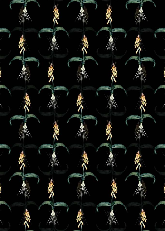 Floral Watsonia Pattern