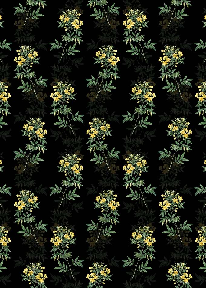 Argentine Senna Pattern