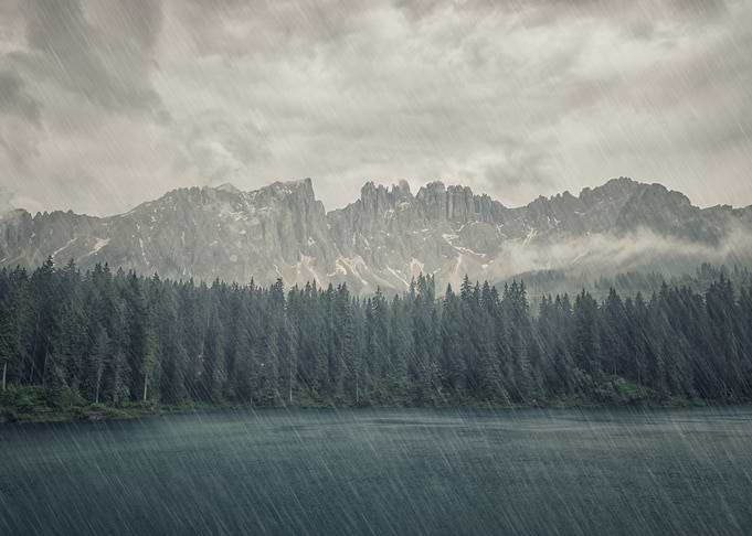 Rainy Day