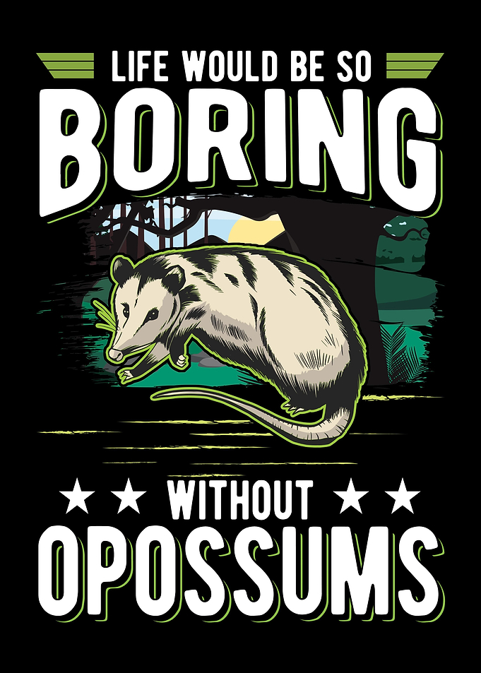 Opossum Gift Possum