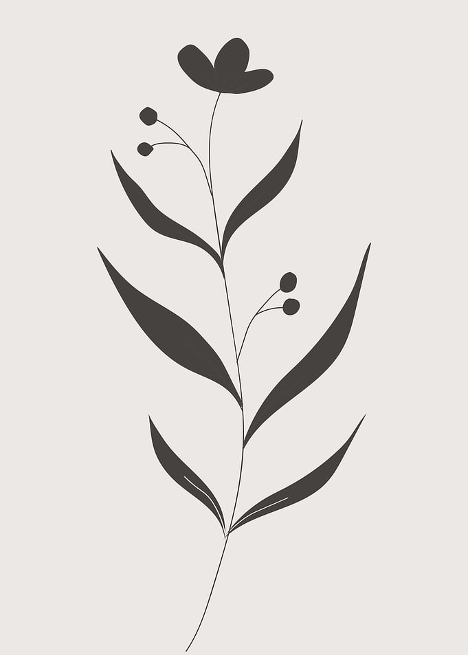 Blossoming Spring Flowers