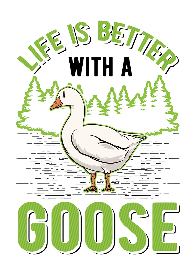 Goose Geese Farmer