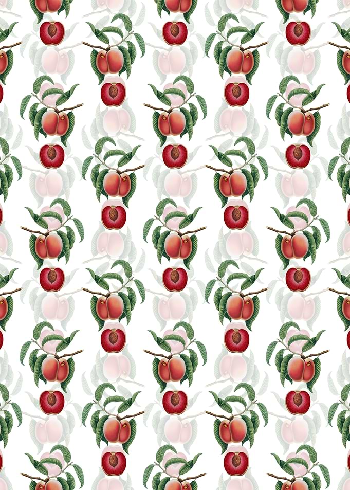 White Carrot Peach Pattern