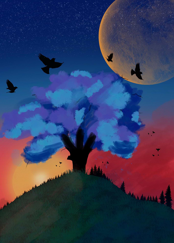 tree and sunset