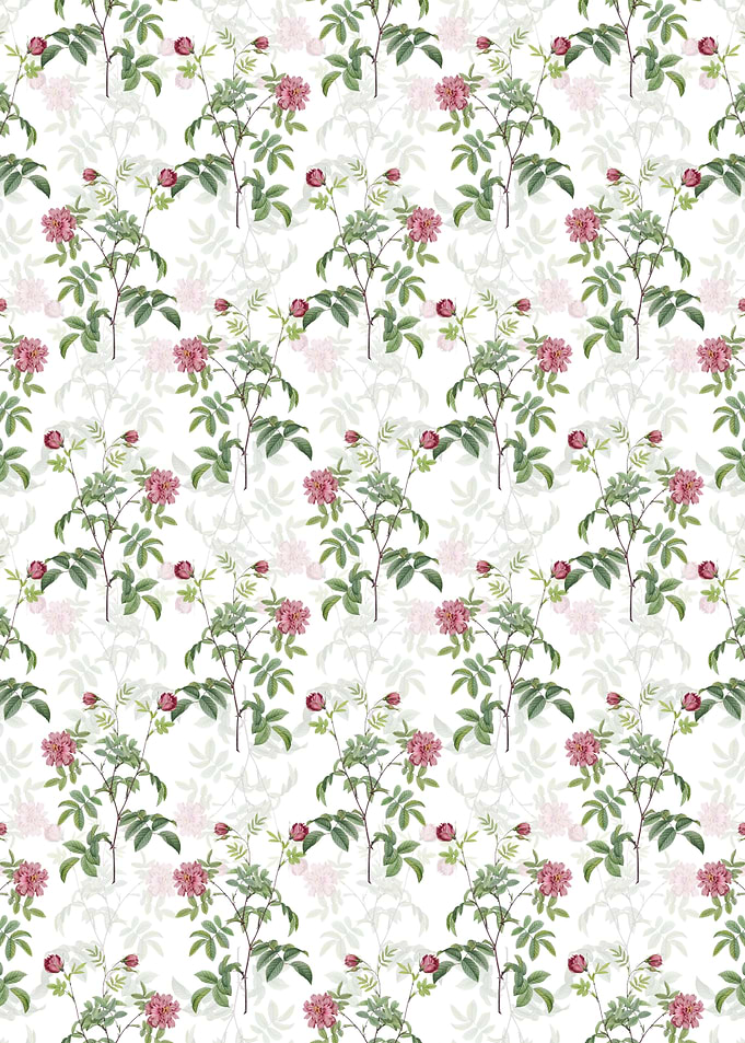 Cinnamon Rose Pattern