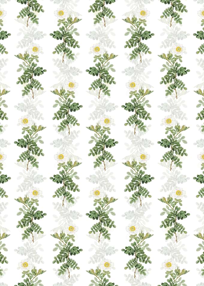 Macartney Rose Pattern