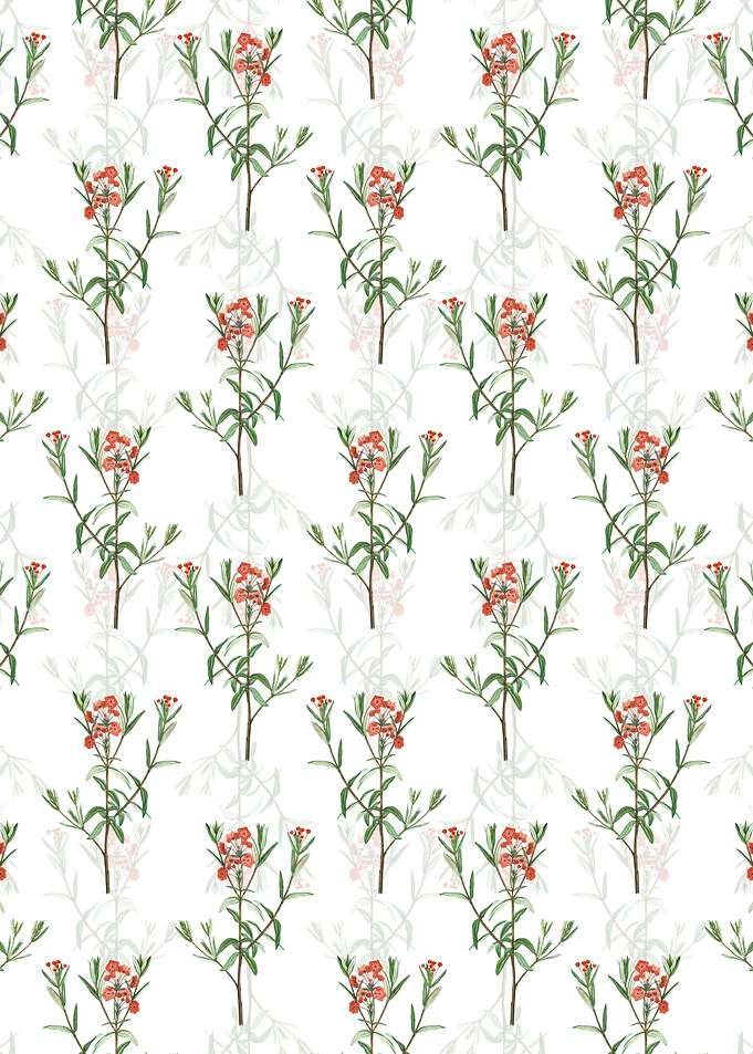 Bog Laurel Bloom Pattern