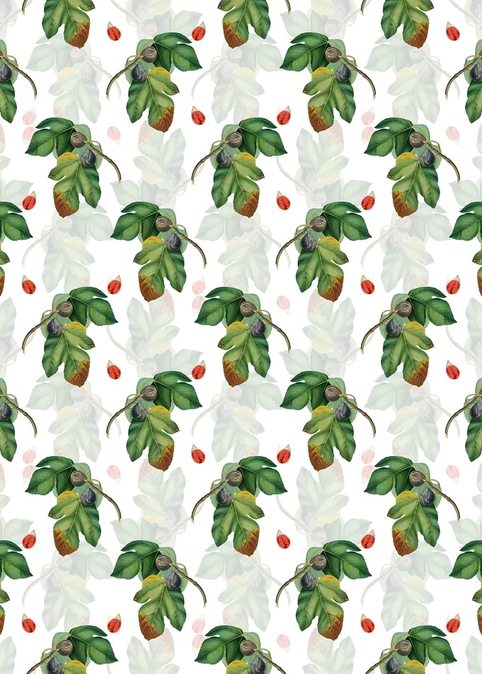 Vintage Floral Fig Pattern