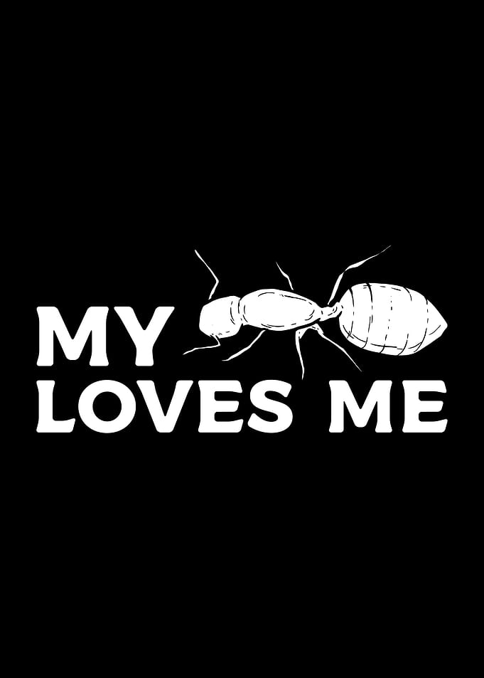 My Ants Loves Me