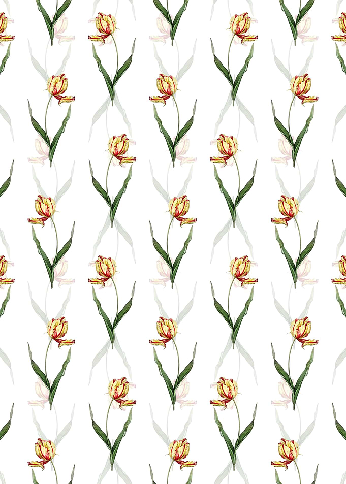 Didiers Tulip Pattern