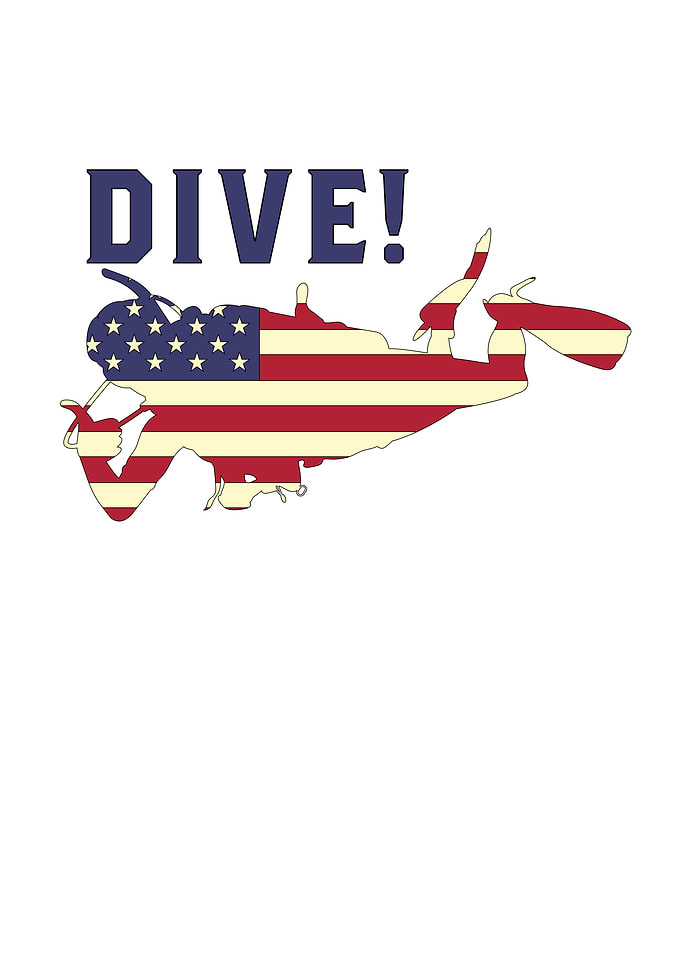 Dive USA