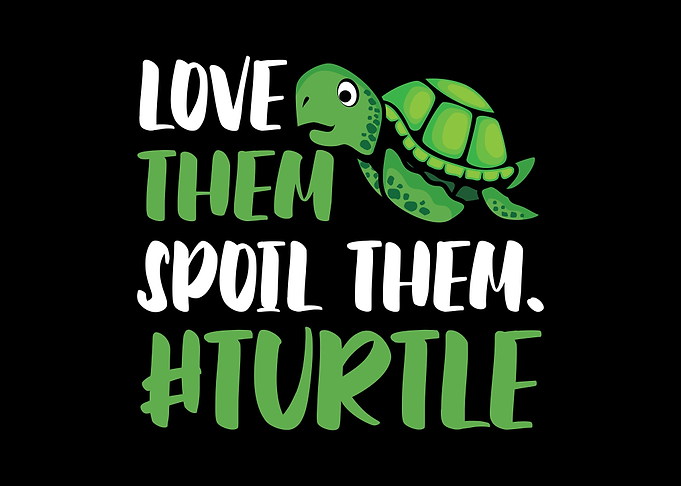 Sea Turtle