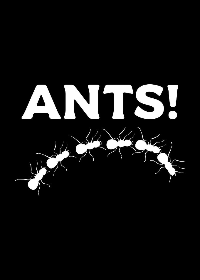Ants