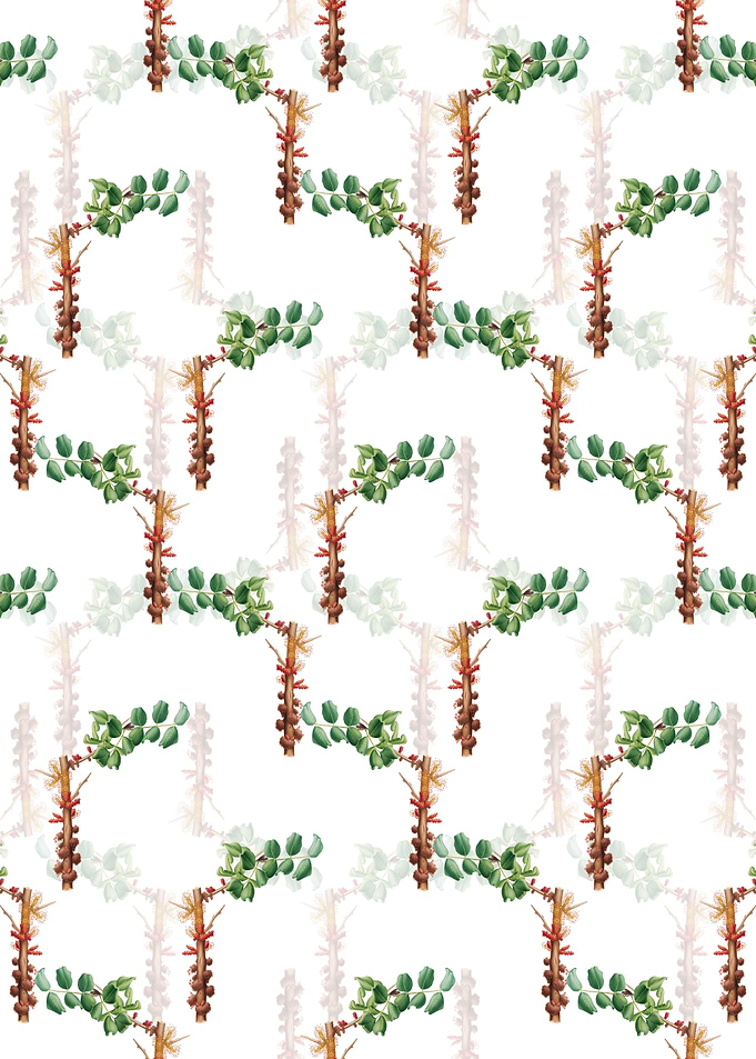 White Carob Flower Pattern