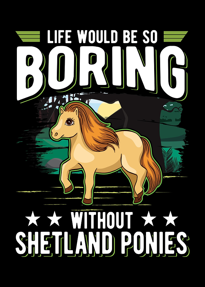 Shetland Pony Shetty