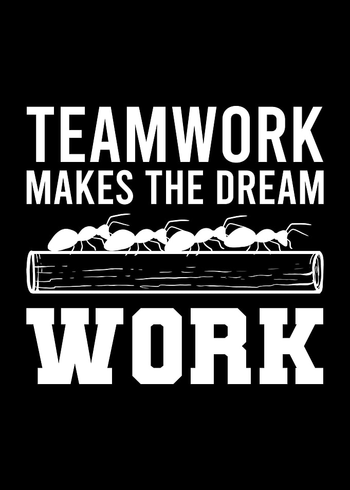 Teamwork Makes Dreams