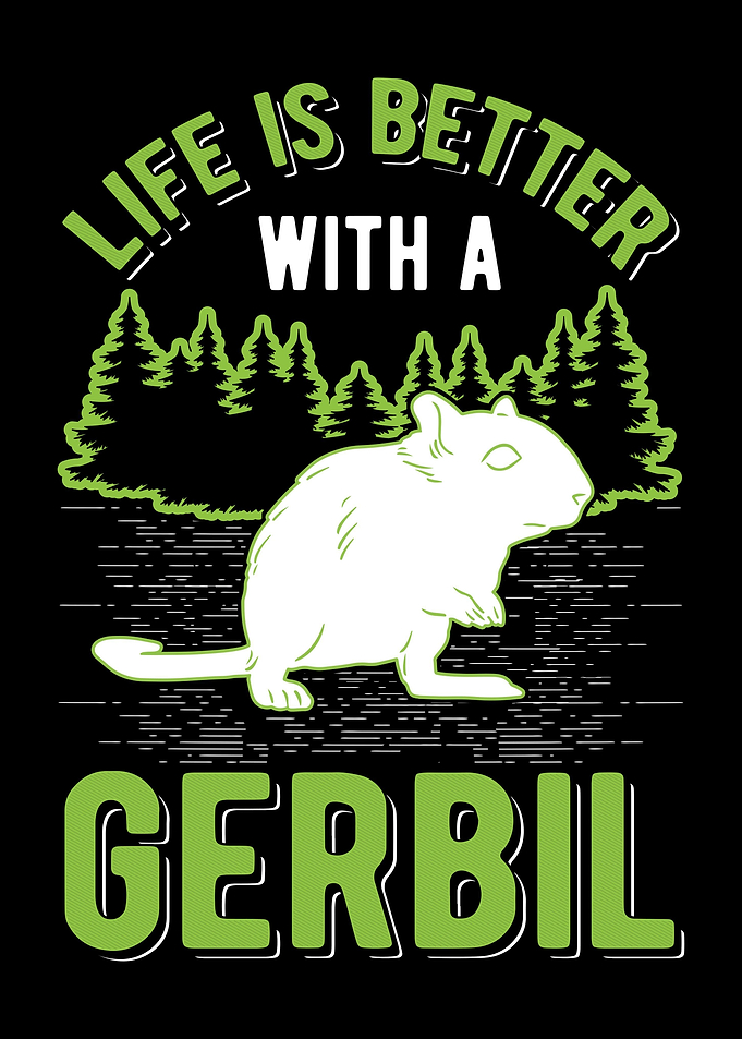 Gerbil Racing Rat