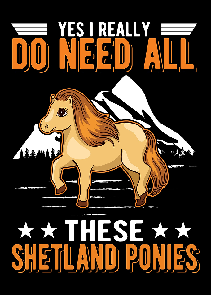 Shetland Pony Shetty