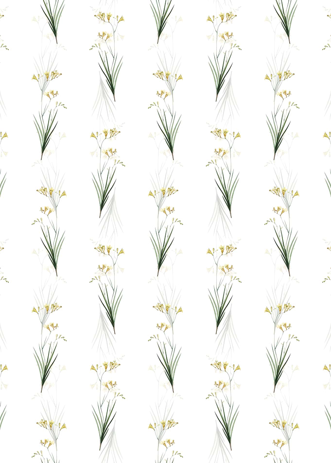 Floral Freesia Pattern