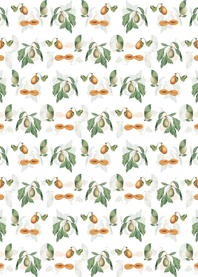 White Floral Prune Pattern