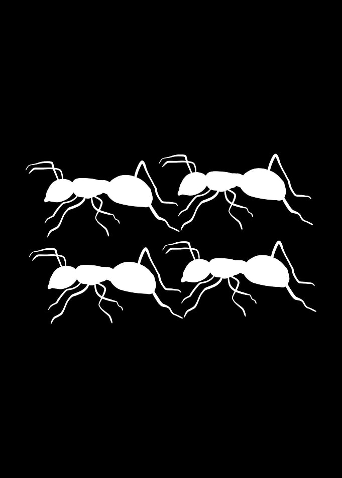 Ants Silhouette