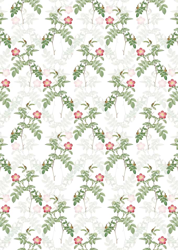 Pink Alpine Rose Pattern