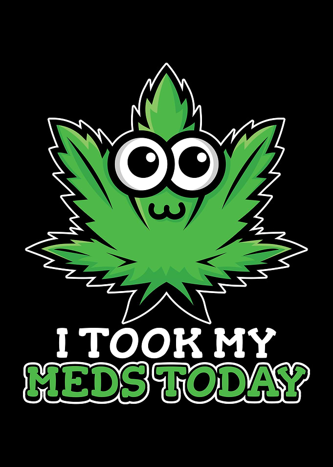 I Took My Meds Today