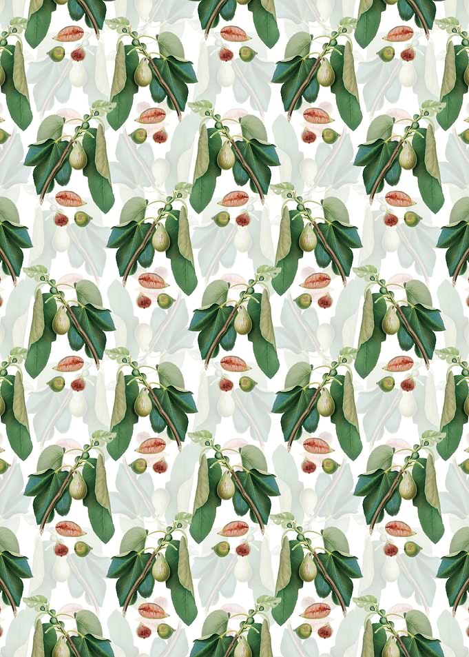 Floral Monaco Fig Pattern