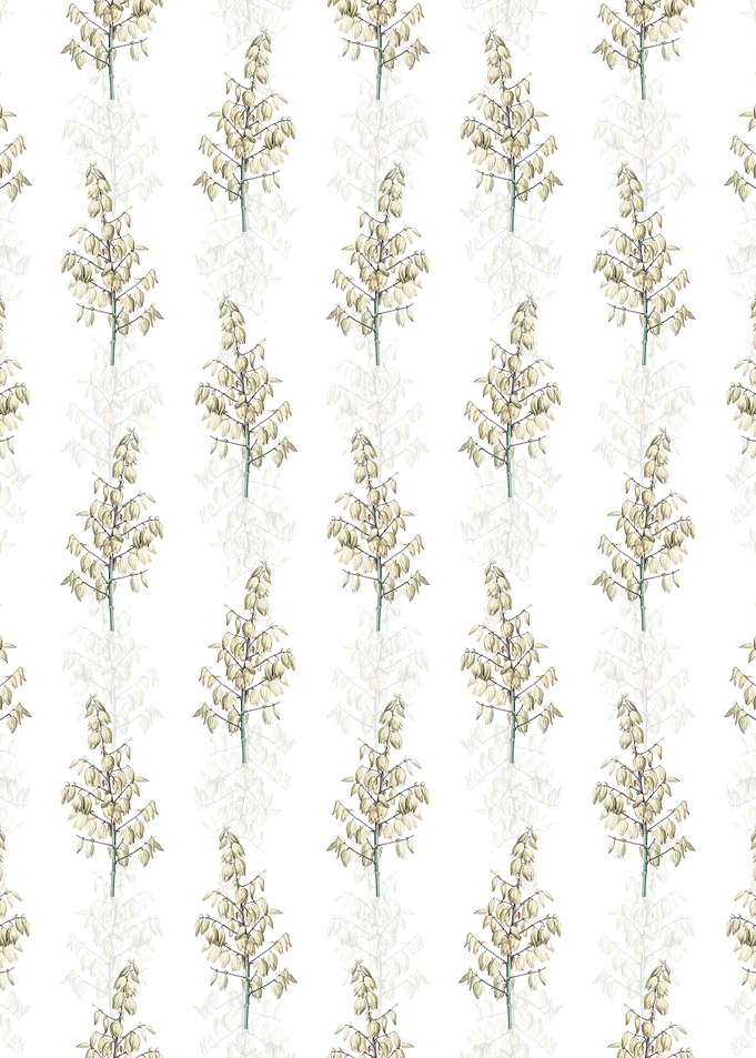 White Adams Needle Pattern