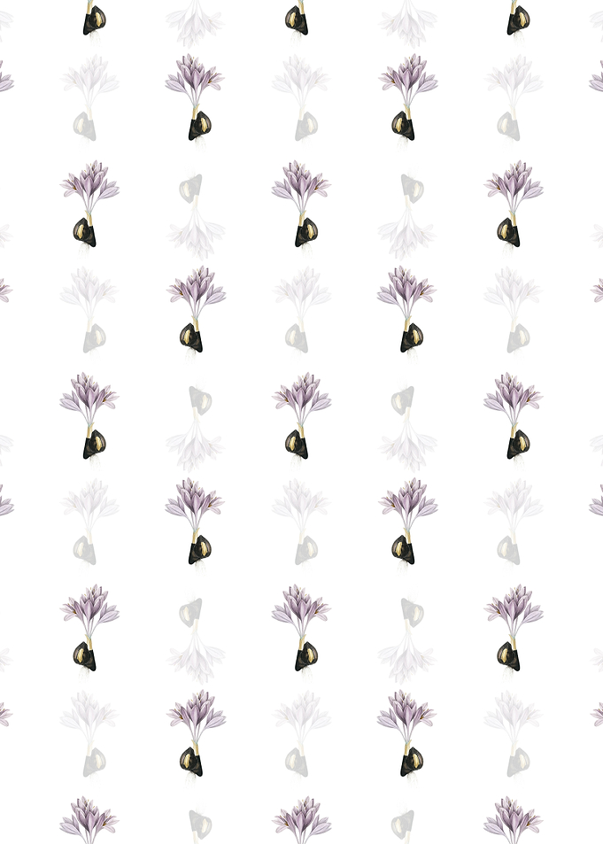 Autumn Crocus Pattern