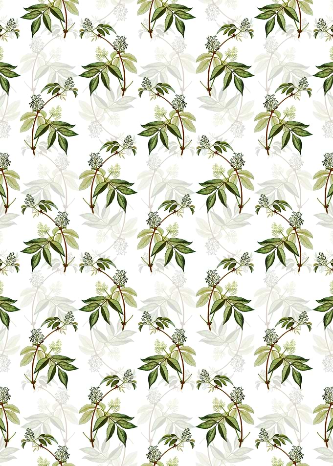 Red Elderberry Pattern
