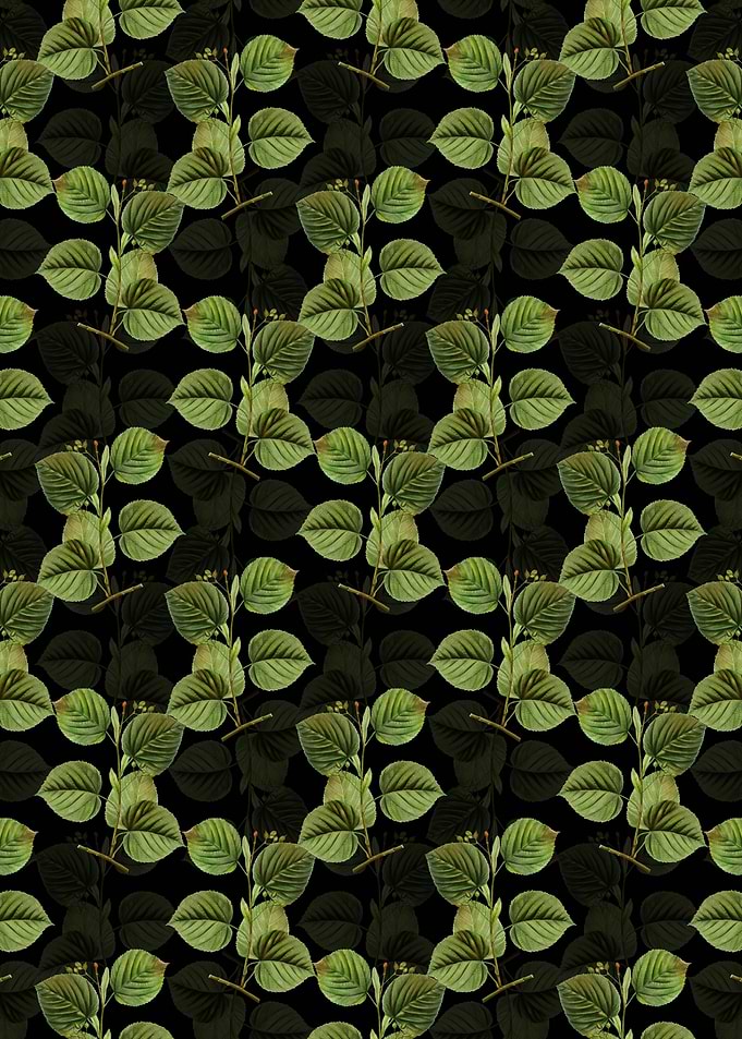 Linden Tree Branch Pattern