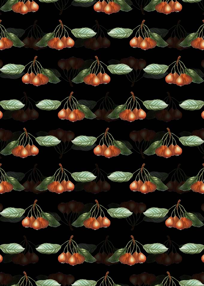 Floral Shipova Pattern