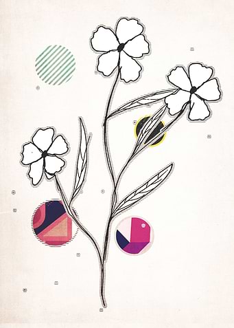 drawing flower