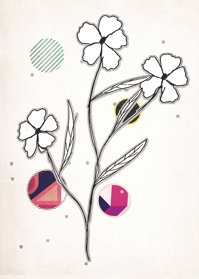 drawing flower